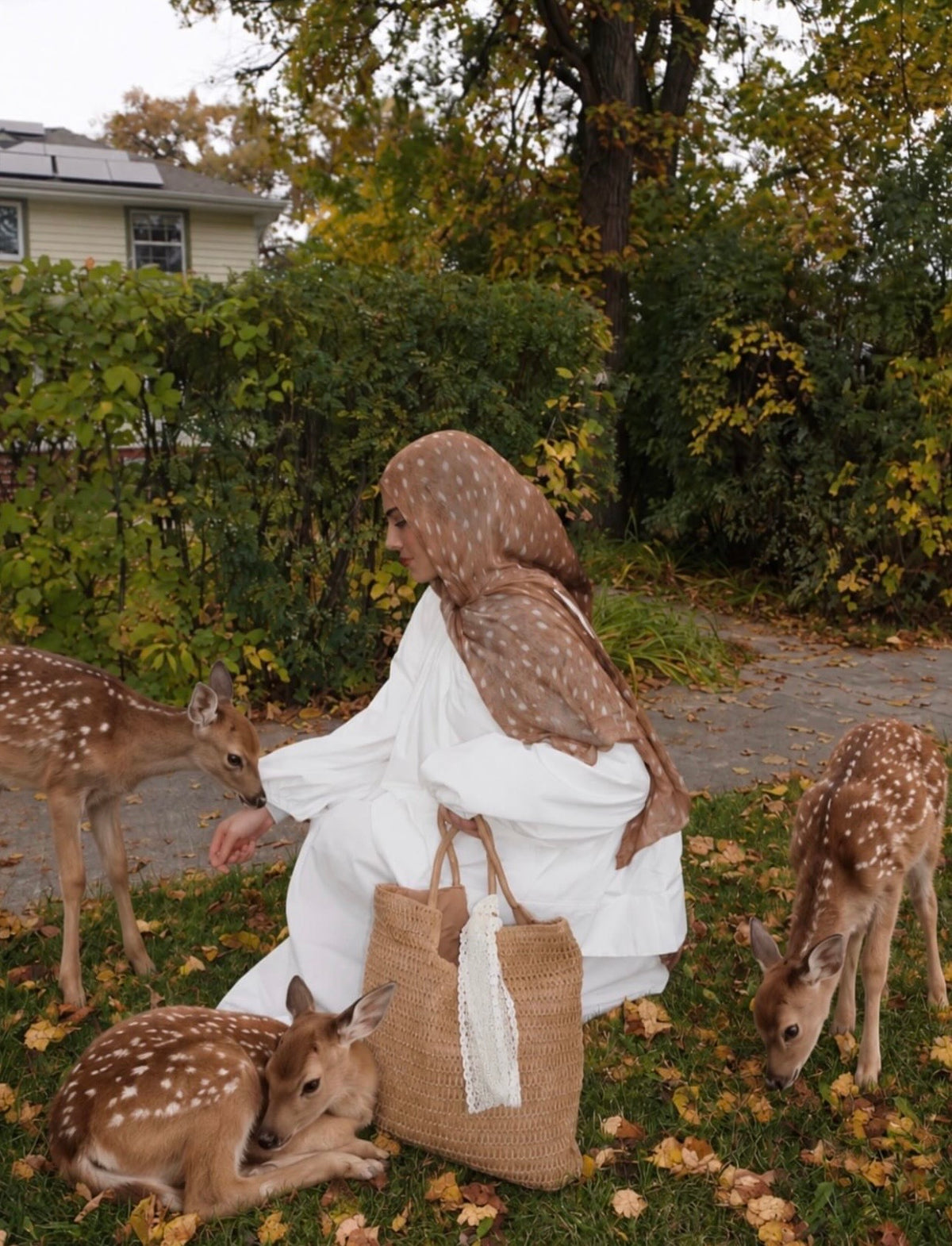 Bambi